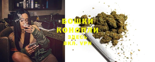 ПСИЛОЦИБИНОВЫЕ ГРИБЫ Бугульма
