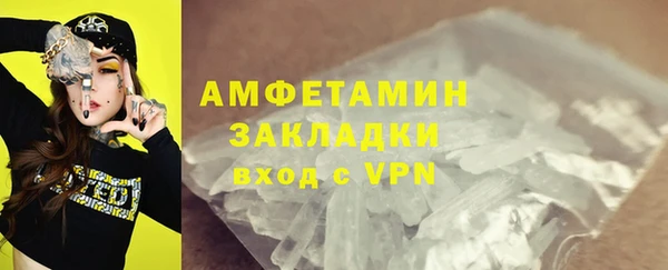 ПСИЛОЦИБИНОВЫЕ ГРИБЫ Верея