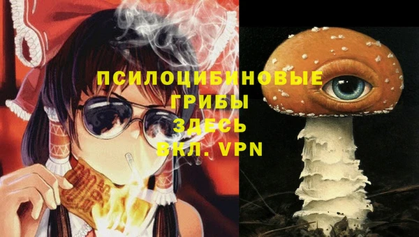 эйфоретик Бородино