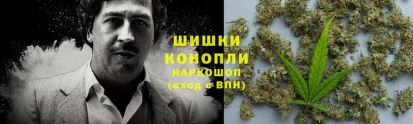 эйфоретик Бородино
